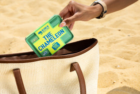 maybe an image thumbnail about the product: The Chameleon